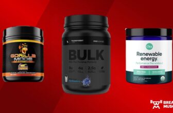 Strongest Pre-Exercise: The Greatest Excessive-Stim Picks of 2025