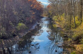 The Little Issues E-newsletter #497 – Life, laughter, and many nice meals!