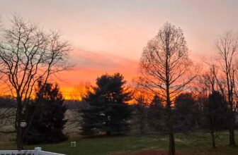 The Little Issues Publication #501 – Life, laughter, and plenty of nice meals!