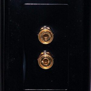 Black Speaker Wall Plate 2 Put up f...