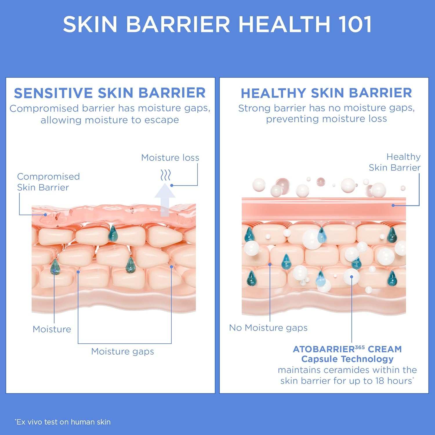 AESTURA ATOBARRIER365 Cream with Ceramides, Korean Face Moisturizer for Barrier Restore | 120H lasting Hydration, Ceramide Capsules, Dry & Delicate Pores and skin, Non-comedogenic, 80 mL / 2.70 fl.oz. - Image 5