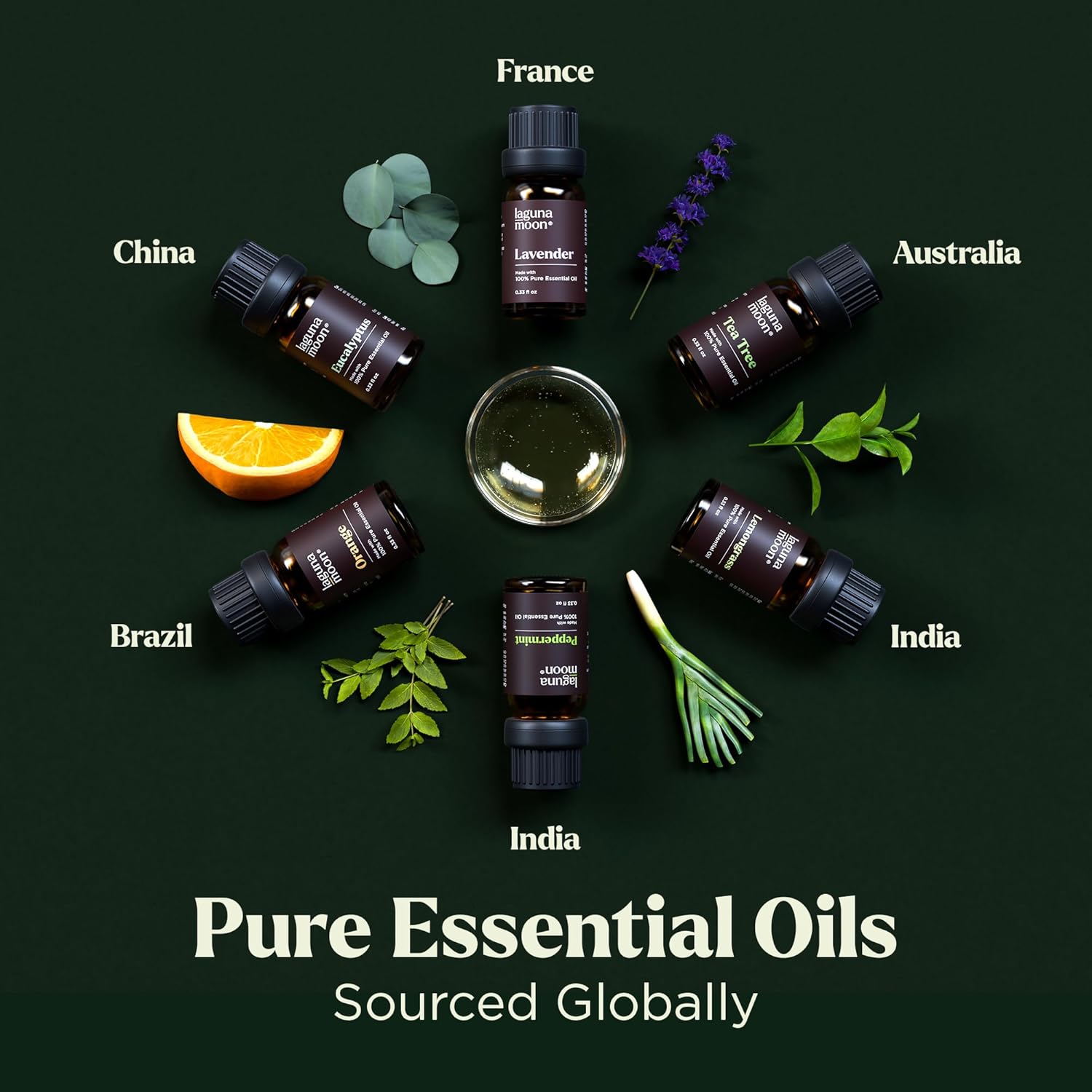 Lagunamoon Important Oils Aromatherapy Set - 6 Oils for Diffusers, Residence Care, Candle Making Scents, Perfume, Humidifiers, Presents - Peppermint, Tea Tree, Lavender, Eucalyptus, Orange (10mL) - Image 3