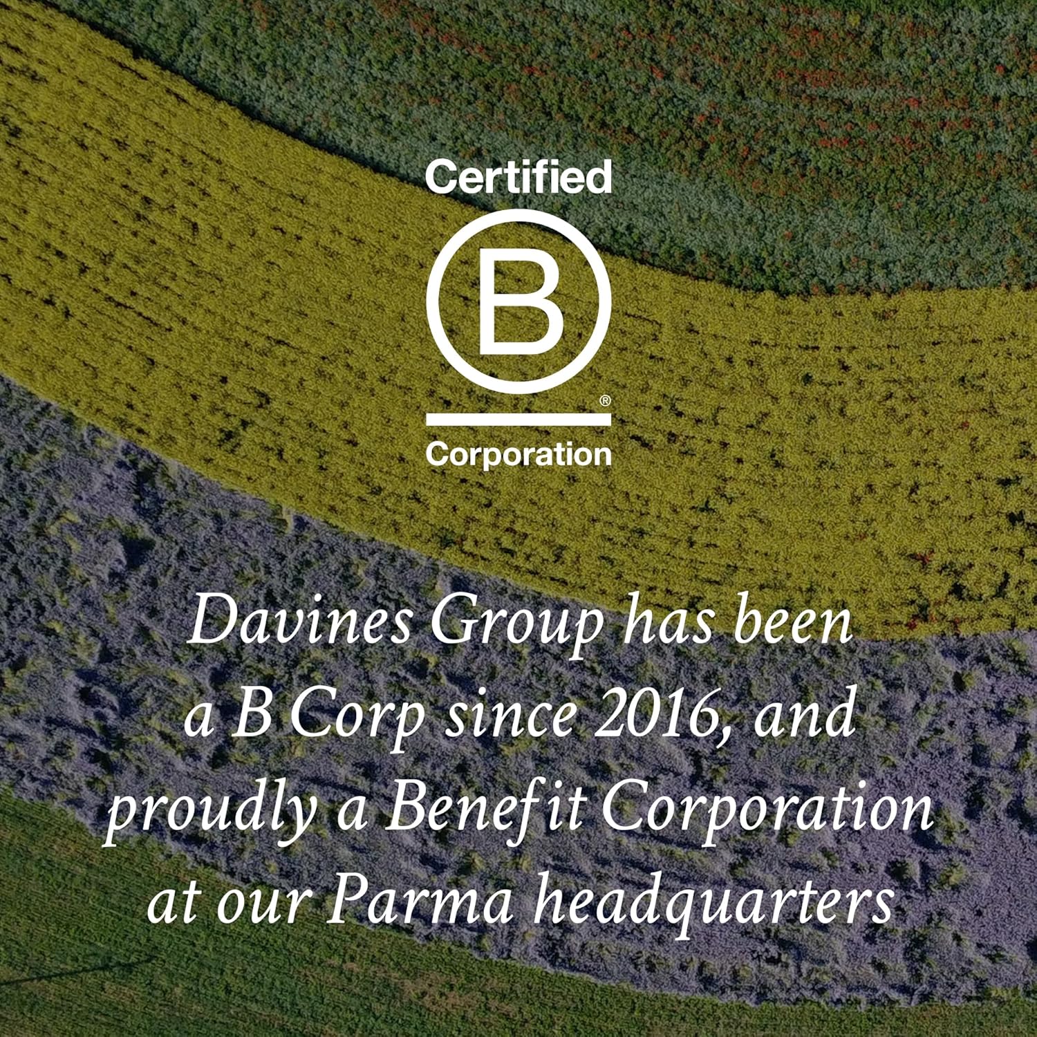 Davines OI Oil | Weightless Hair Oil Excellent for Dry Hair, Coarse & Curly Hair Sorts | Conrol Frizz | Gentle, Shiny Hair - Image 9