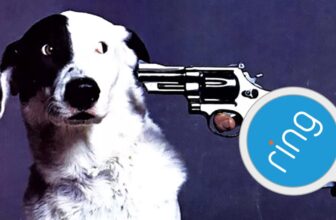 Amazon’s Ring Needs to Wash Away Your Surveillance Issues With Misplaced Puppies