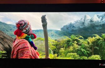 Your good TV is mendacity