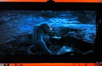 There are two varieties of LCD TV you don’t learn about