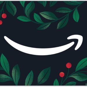 Amazon eGift Card | Seasonal, Digit...