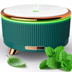 Important Oil Diffuser for House, D...