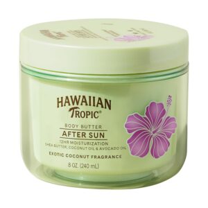 Hawaiian Tropic After Solar Physiqu...