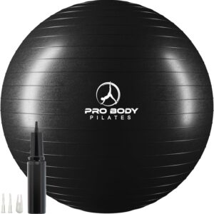 ProBody Pilates Train Ball – ...