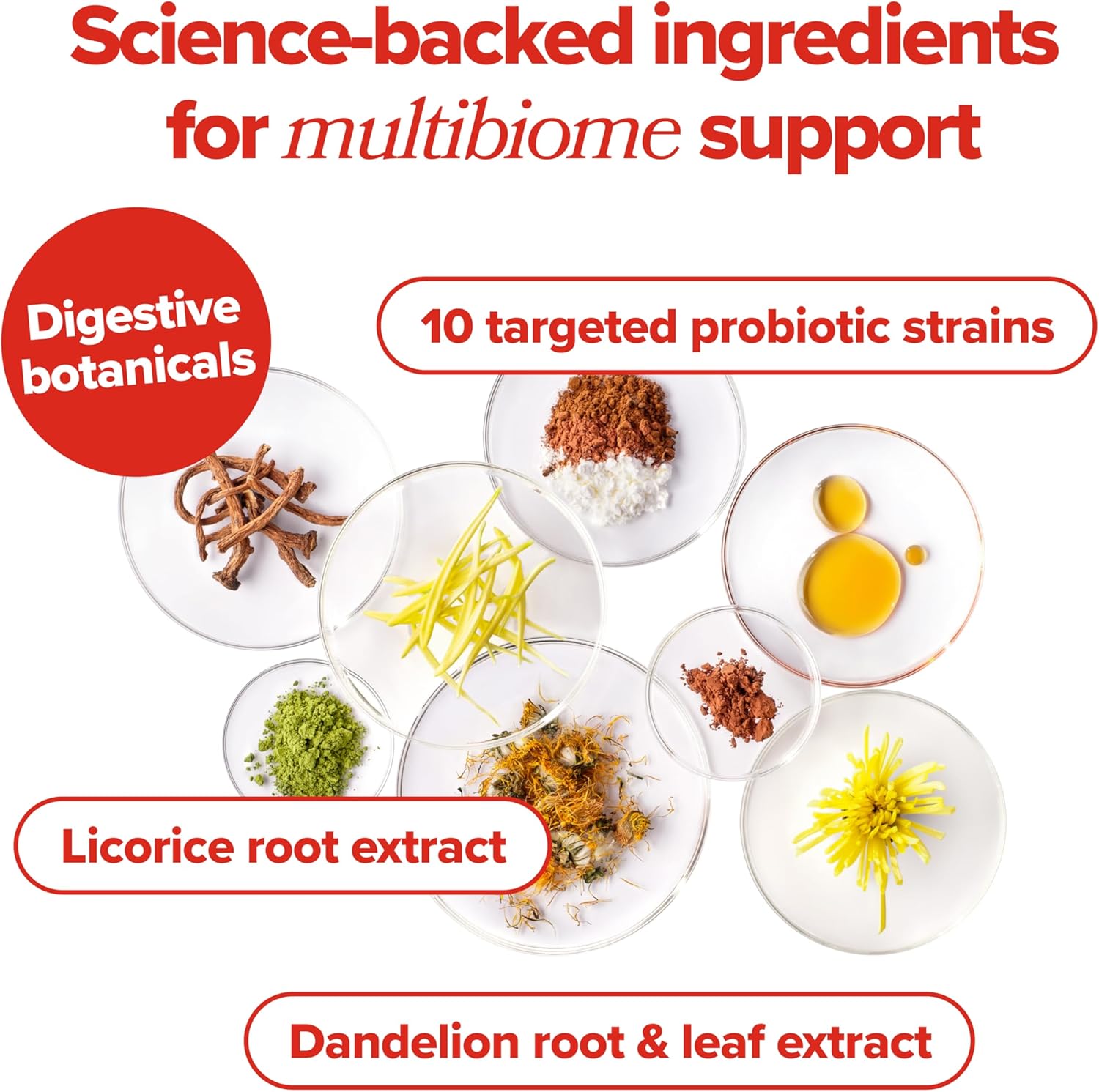 O Positiv URO Ladies’s Probiotic – All-in-one Probiotic for Ladies - Vaginal, Intestine, Pores and skin, and Oral Microbiome Well being – 20B+ CFUs, Licorice Root, Dandelion – Non-GMO, Vegan, Gluten-Free – 30 Capsules - Image 6