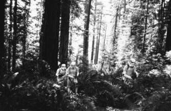 Take a look at This Treasure Trove of Unseen Pictures From the Filming of ‘Return of the Jedi’