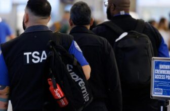 Elon Musk Claims He ‘Would Prefer to Provide’ to Pay TSA Staff’ Salaries