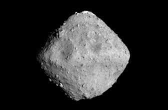 DNA constructing blocks on asteroid Ryugu, micro organism that eat plastic waste, and extra science information